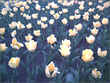 Jardín de Tulipanes